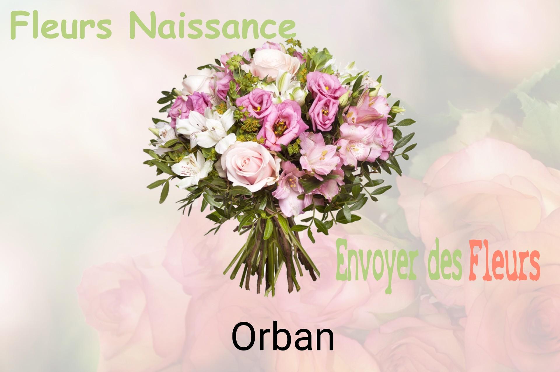 Bouquet de fleurs de naissance livré à Orban